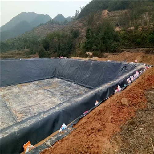 您了解魚(yú)塘防滲膜施工方法有哪些嗎？
